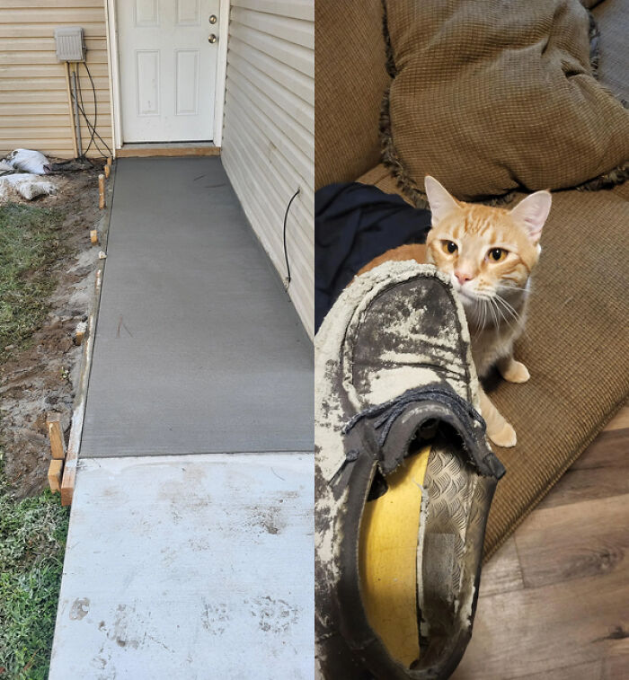 1: "So the landlord decided to lay concrete in front of my door without notice yesterday morning…"