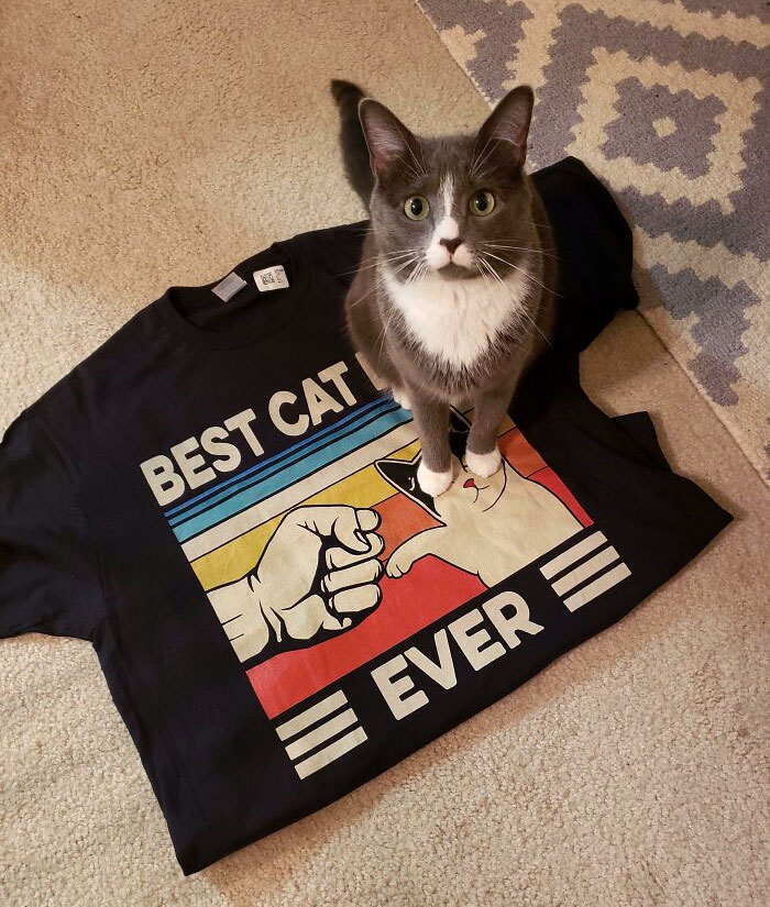 My Girlfriend Got Me This Awesome Shirt For Valentine Day But When I Laid It Down To Take A Picture, Our Cat Sat On The Word "Dad" Making The Shirt Just Say "Best Cat Ever"