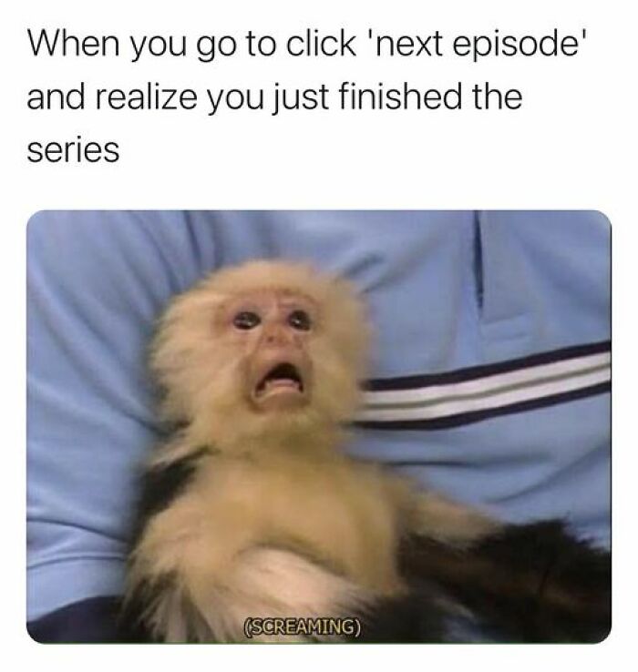 Memes About Netflix Binge-Watching