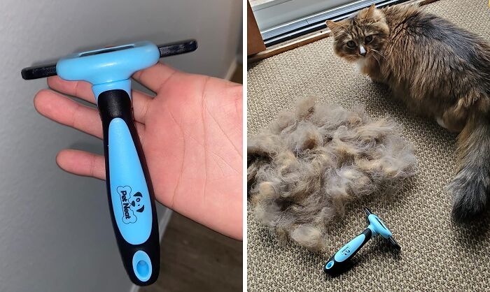 Tired Of Wearing Your Pet's Fur As A Fashion Statement? A Deshedding Tool Will Have You (And Your Furniture) Fur-Free In No Time